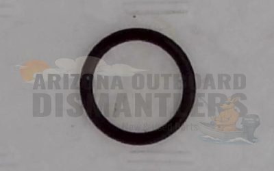 0304174 – Tube Adapter O-Ring – OMC