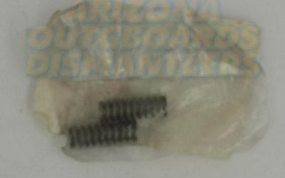 0309247 OMC Johnson Evinrude SPRING