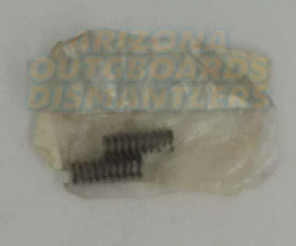 0309247 OMC Johnson Evinrude SPRING