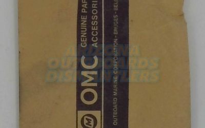 0387262 OMC  Johnson Evinrude Float Valve And Seat