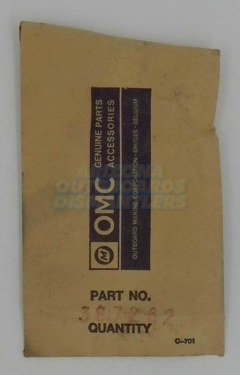 0387262 OMC Johnson Evinrude Float Valve And Seat