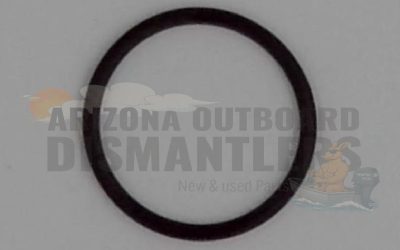 09280-22019 – O-Ring Anode Cover – Suzuki