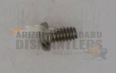 10-F1760 – Screw SS – Mercury