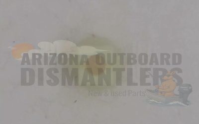11-81779M – Nut Lower Mount Cover Screw – Mercury