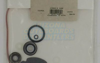 18-2681 – Lower Unit Seal Kit for Johnson/Evinrude 6HP (1968–1979)