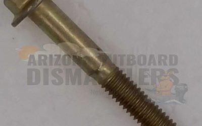 307267 – Cylinder Head Bolts – OMC