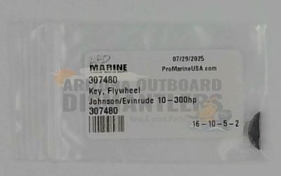 307480 – Flywheel Crankshaft Key for Johnson/Evinrude Outboards (10–300 HP)