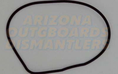 0324981 OMC Evinrude Johnson Impeller Housing O-ring
