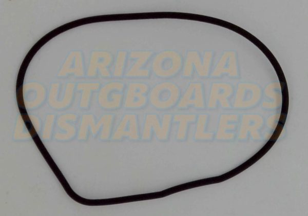 0324981 OMC Evinrude Johnson Impeller Housing O-ring
