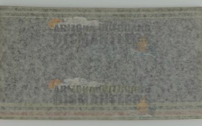 334139 – Sea Horse Decal Sticker – Johnson