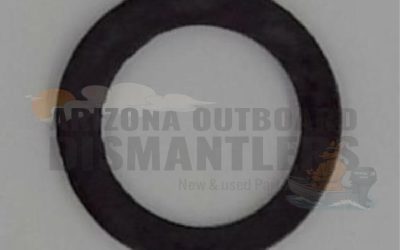 339044 – Thermostat Gasket – OMC