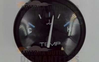 859684-1 – Gauge – Temperature – Mercury