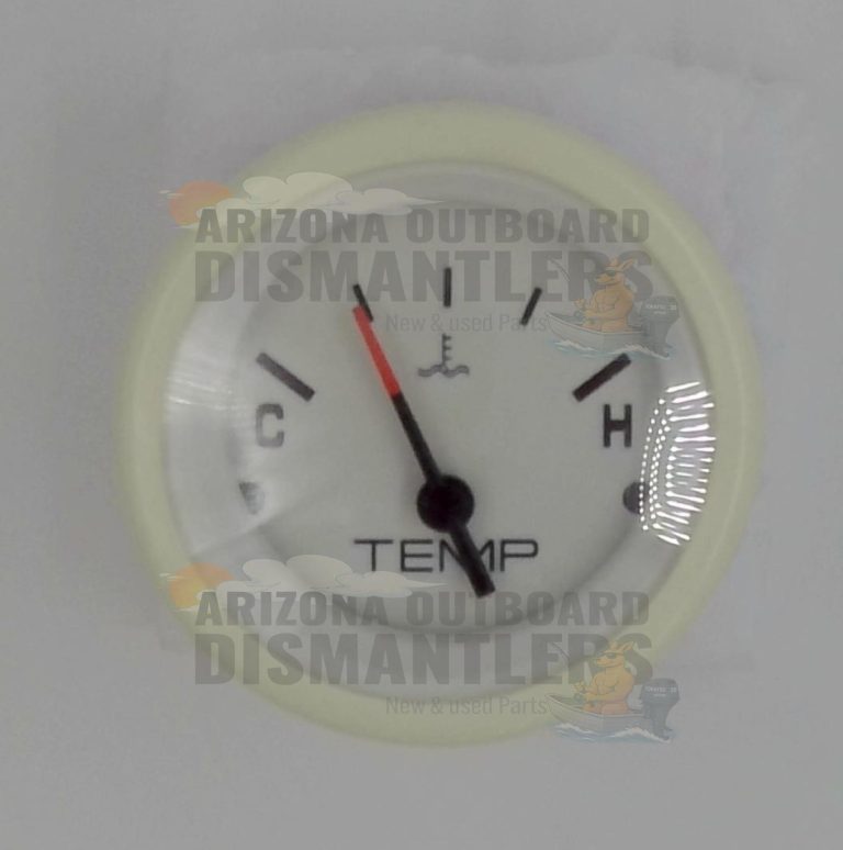 859684-2 – Gauge – Temperature – Mercury