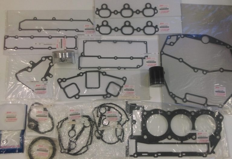 DF250 Suzuki Repair kit