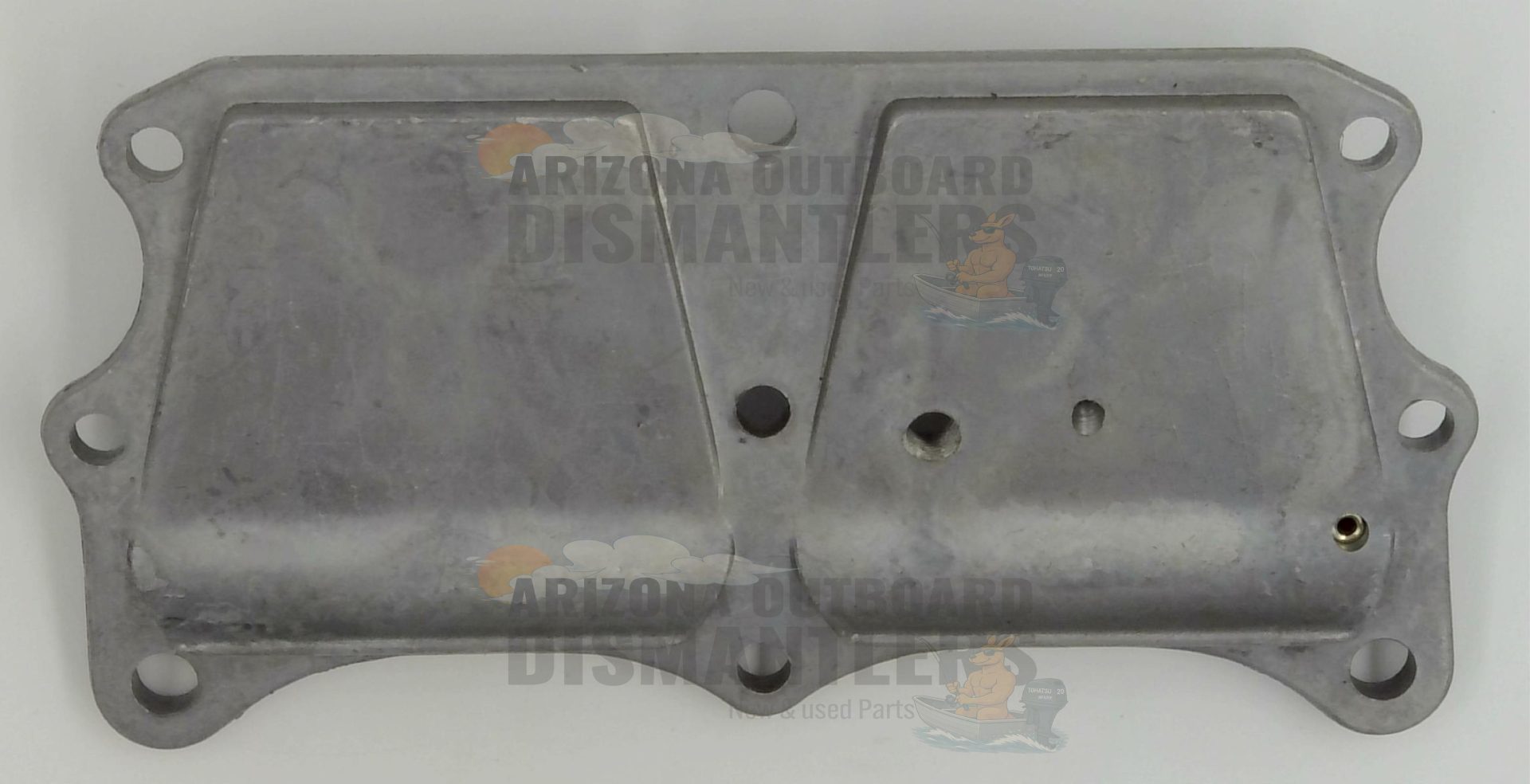 396018 Bypass Cover Assembly – Johnson Evinrude